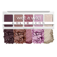 وت اند وایلد پالت سایه 5 رنگ کالر آیکون wet n wild COLOR ICON Palette   مدل 1114070 E