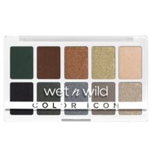 وت اند وایلد پالت سایه 10 رنگ مدل 1114076E برند WET N WILD COLOR ICON 10 PAN PALETTE